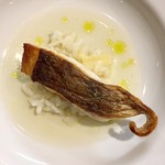 オステリア・オリエーラ - 真鯛