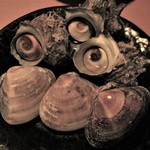 心人 - はまぐり と さざえ。