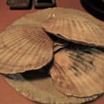 心人 - 大きな 帆立貝。