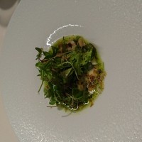 TACUBO - 