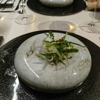 TACUBO - 