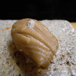 日本橋橘町　都寿司 - 穴子（塩）