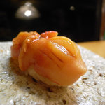 日本橋橘町　都寿司 - 赤貝