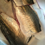 天一 - 白鯵様  宮崎県のブランド魚へ！！