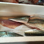 天一 - 白鯵 大と小