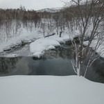 坐忘林 - バーカウンターからの眺め　鴨がいます