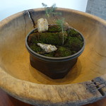 坐忘林 - 盆栽オブジェ