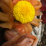 食楽処 あ - トリ貝お刺身