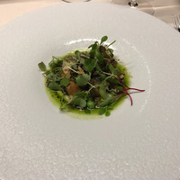 TACUBO - 