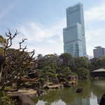 やっこ - 慶沢園からのハルカス