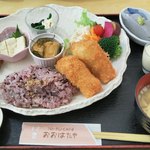 トーフカフェおおはたや - 週替わりランチ