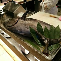 リュクス ダイニング ハプナ - 解体前の本日のマグロ！