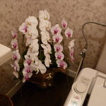 レストラン シェ・オカ - トイレにまでお花が・・・