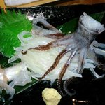 函館漁港 - 活イカの刺身