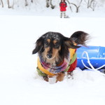 プチホテル・フットルース - 近くの秘密の沼で♪