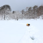 プチホテル・フットルース - 全面凍結している秘密の沼