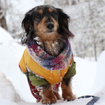 プチホテル・フットルース - 沼からの帰り道