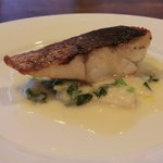 ラ･マンチーナ - ヒラスズキのソテー七草ソース