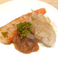 すし匠 齋藤 - シマ海老と卵、白海老、鯛酒盗