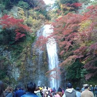 三田屋本店 箕面小野原 - 