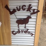 森のレストラン ラッキーガーデン - キッチンがリニューアルされてました！