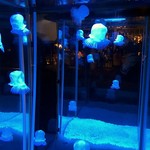 NEO SHOT BAR　深海の洞窟 - 