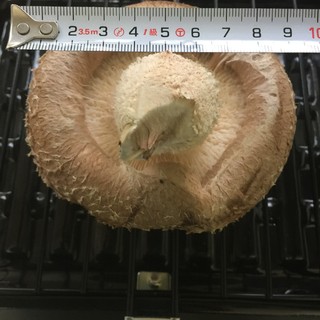 ケーヨーデイツー 久里浜店 久里浜 その他 食べログ