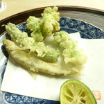 懐石料理 桝田 - 春野菜の天麩羅