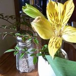 Mori no Naka no Choushoku to Cafe no Mise Cabot Cove