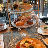 tcc GINZA - 