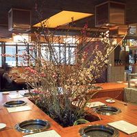 やきにくのバクロ 博多店 - 