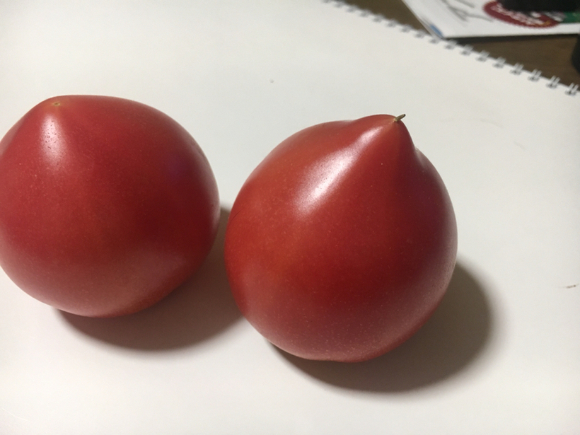 JA茨城みなみ農産物直売所 みらいっ娘 name=