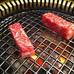 松蘭 - 2011年1月8日、19:38撮影