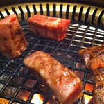 松蘭 - 2011年1月8日、19:38撮影