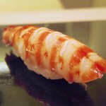 鮨 ます田 - 車海老