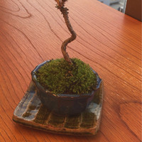 京懐石 美濃吉 竹茂楼 ホテル阪急インターナショナル店 - 