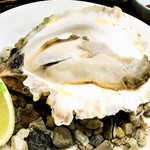 KAKIYA シェル＆シュリンプ - 隠岐の島産　岩牡蠣　￥？