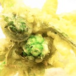 KAKIYA シェル＆シュリンプ - 蕗の薹、コゴミ