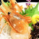 KAKIYA シェル＆シュリンプ - 