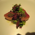 イル アオヤマ - メジマグロの藁炙り　サラダ仕立て