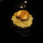 イル アオヤマ - トラフグの白子リゾット