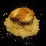 イル アオヤマ - アップ