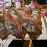 ビストロ割烹 YAOYA - エテカレイ