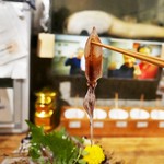 ビストロ割烹 YAOYA - ホタルイカ