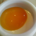 ビストロ・ラ・プラージュ - パンナコッタマンゴーソース