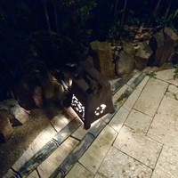 九つ井 本店 - 