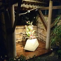 九つ井 本店 - 
