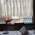 レストラン シェ シノ - 