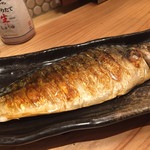 大衆酒場 溝の口 ただいま - 