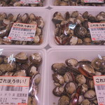 本庄鮮魚センター - レアな貝ｗ